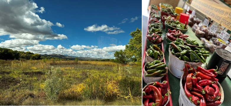 New Mexico is known as the "Land of Enchantment" and it is enchanting indeed, from the land to the amazing food!